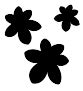 marie curie lottery login|marie curie lottery winners.